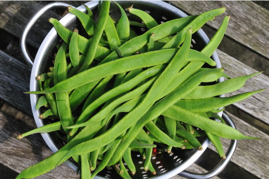 Runner Beans