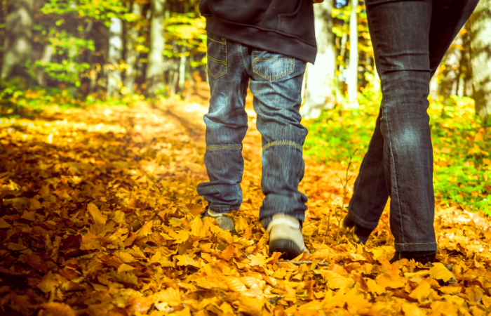 Walking In The Woods